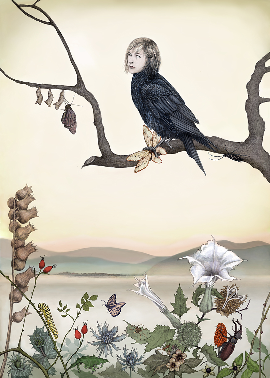 Illustration: Johanna Magoria