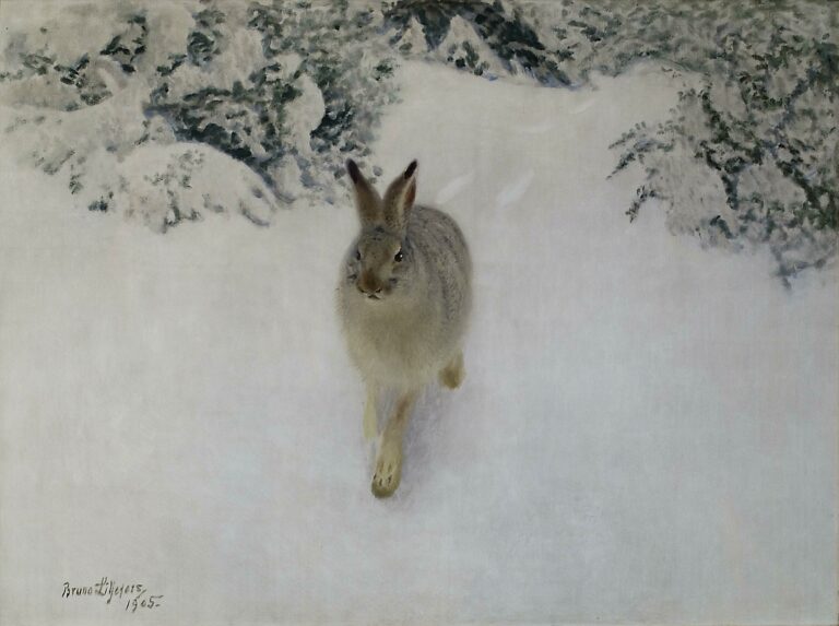 Bruno Liljefors, Vinterhare, 1905, Thielska Galleriet