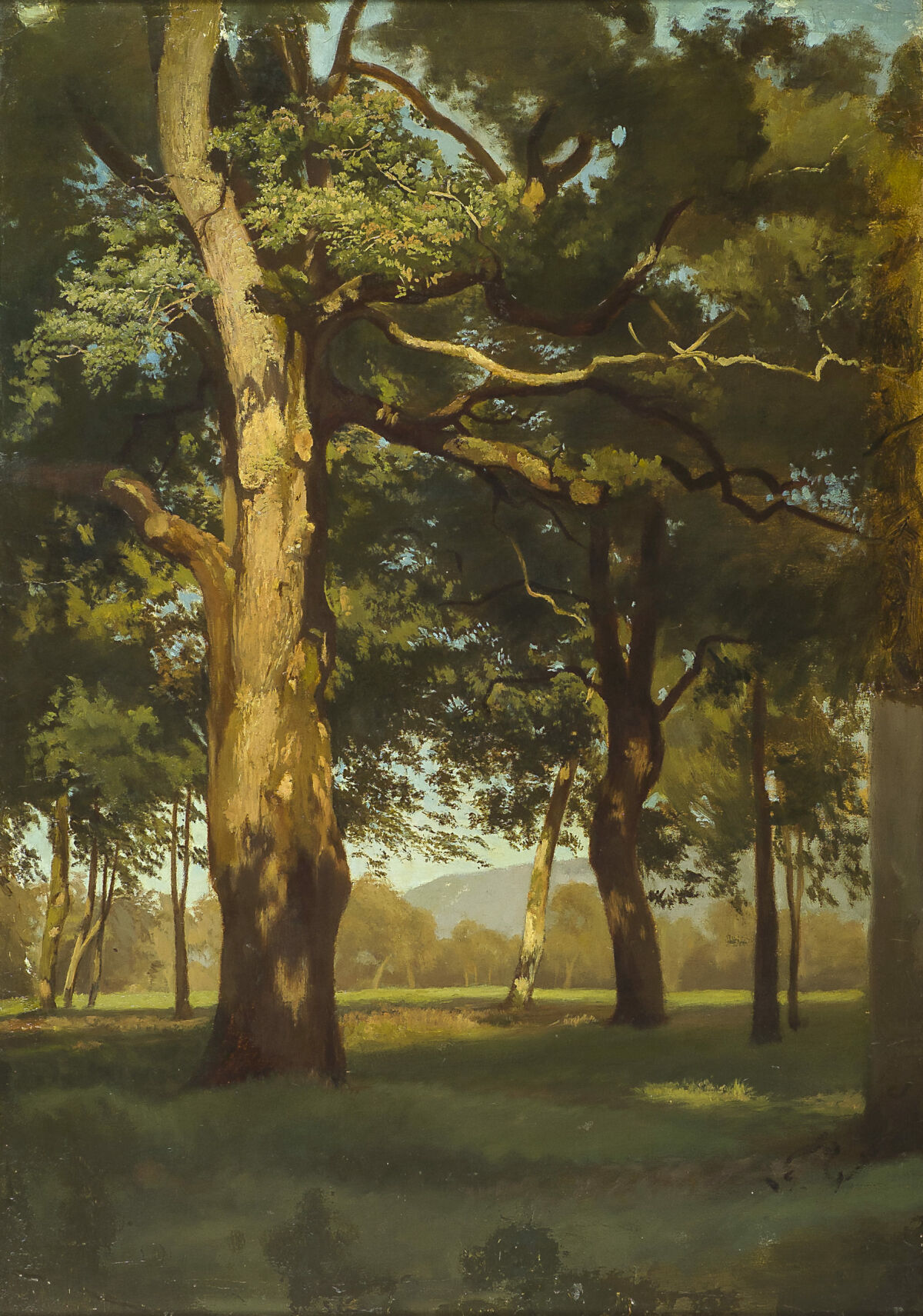 Fanny Churberg, Den gamla eken, ca 1872, Villa Gyllenberg