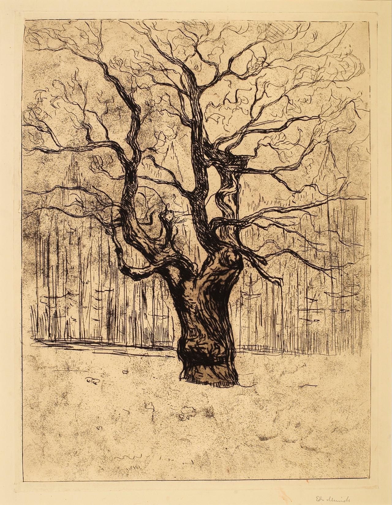 Edvard Munch, Eken, 1903, Thielska Galleriet