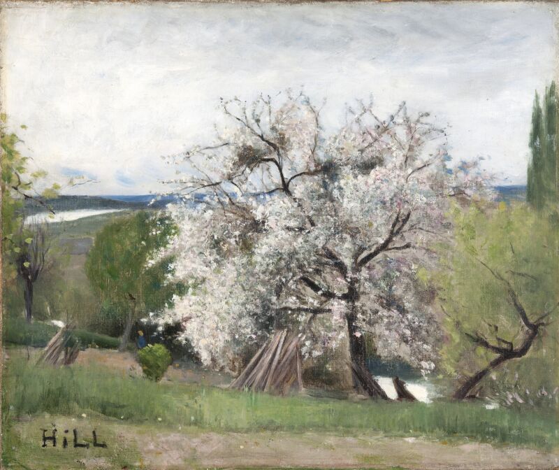 Carl Fredrik Hill, Blommande fruktträd, Bois-le-Roi, 1877, Göteborgs konstmuseum, foto Hossein Sehatlou